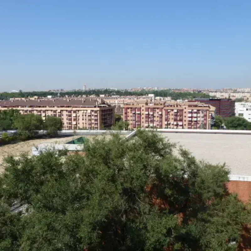 paseo imperial 35 aticoR 4